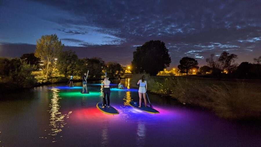 Split: Stand Up Paddleboard Night Glow Tour - What You Might See: Wildlife, Fish, and Those Real Night Moments