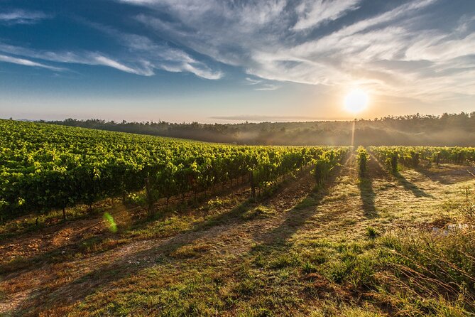 Split/Trogir/Kastela: Krka Private Tour - option: Wine Tasting - Who This Private Krka Wine Tasting Day Is For