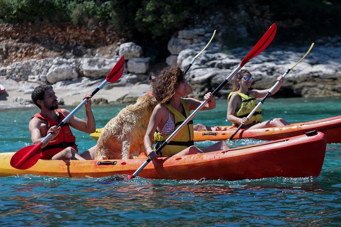 Supetar-Postira kayaking - The Route East: Pine Woods, Olive Groves, Stone Drywalls, and Rock