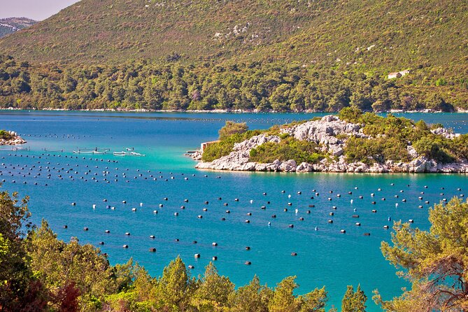 Transfer Split to Dubrovnik with Sightseeing in Ston Town - The Road to Pelješac Peninsula: Ston Is Worth the Wait