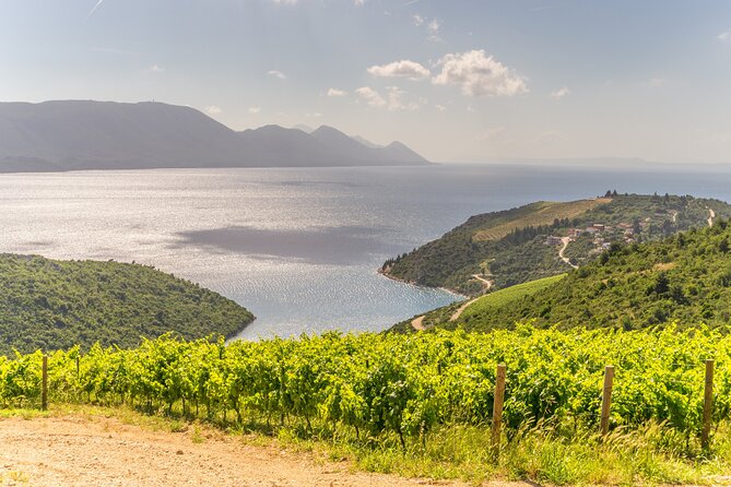 Transfer Split to Dubrovnik with Sightseeing in Ston Town - Comfort and Safety on Winding Roads