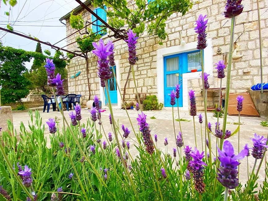 Trogir: Blue Lagoon, Maslinica, and Solinska Bay Boat Tour - Price and Value: Is $68 Worth It?