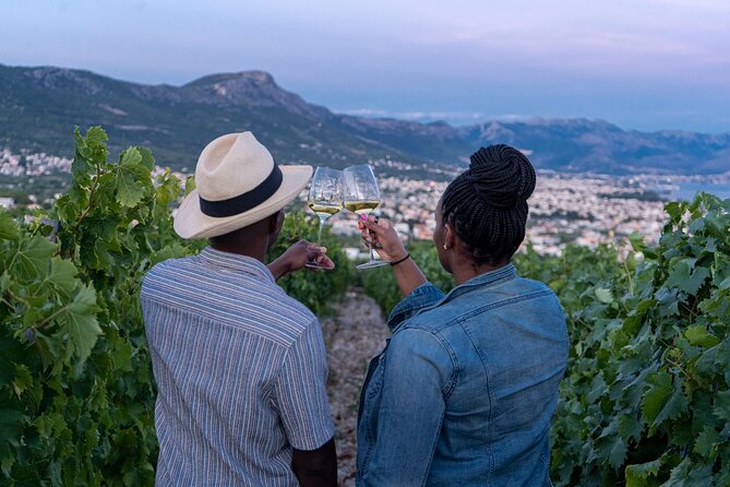 Vineyard Experience: Wine Tasting near Split - Key highlights you’ll feel right away