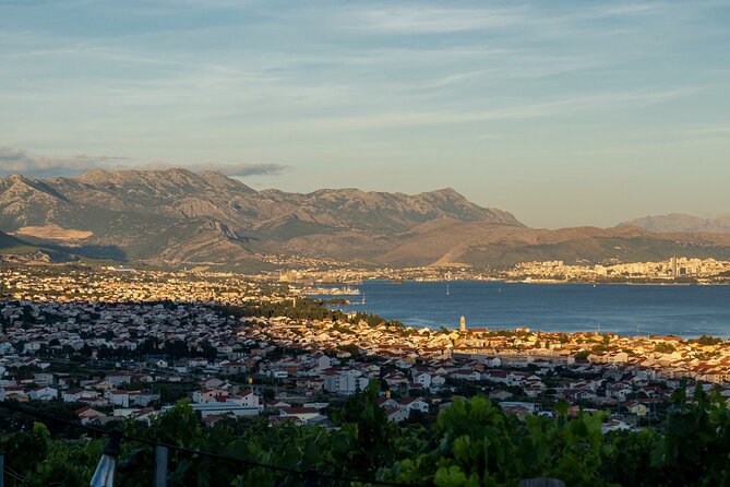 Vineyard Experience: Wine Tasting near Split - The tasting room and sea-view terrace: how the five-wine session works