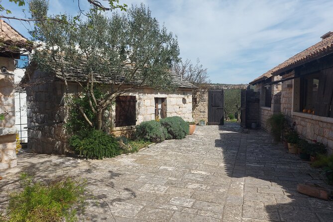 Visit Ancient Salona, Mighty Klis Fortress and Stella Croatica - Stella Croatica ethno-agro park: olives, figs, vineyards, and a working family farm