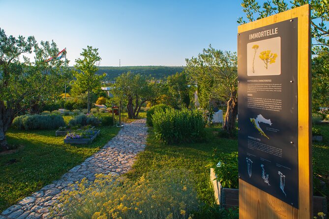 Visit Klis fortress GOT & Olive museum Klis - Who should book this combo