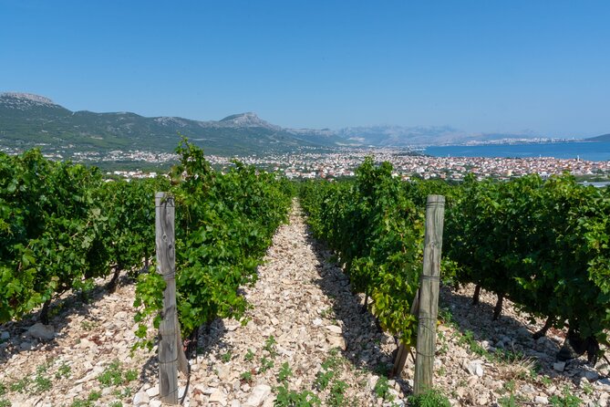 Wine Tasting and Food Pairing - Where Zinfandel Was Born - Price and value for a private group up to 2