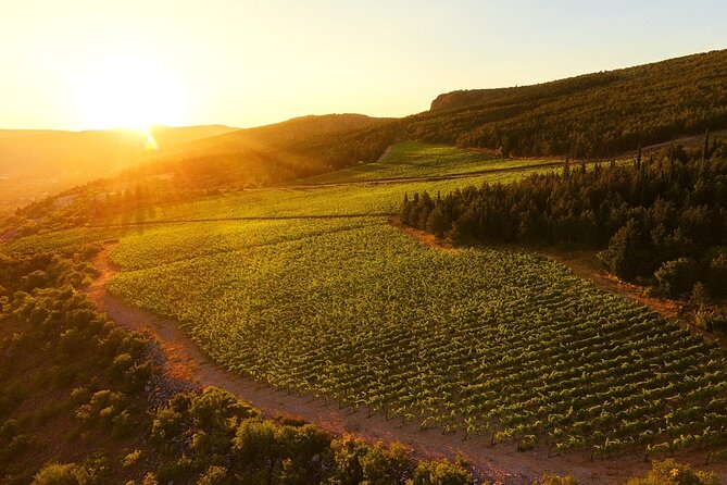Wine Tasting Grabovac Tour From Makarska - Price value: is $83.27 a fair deal?