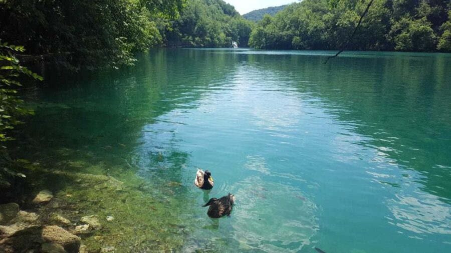 Zagreb to Split: Private Transfer with Plitvice Lakes - Lunch in the Plitvice area: local food without the hunt
